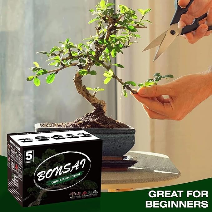 Bonsai Tree Starter Kit - Grow 5 Unique Indoor Japanese Bonsai Seeds, Complete Gardening DIY Set with Pots, Soil, Shears, Unique Gardening Gifts for Men Women