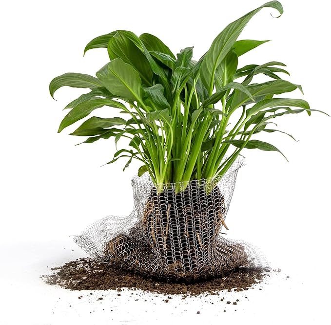 Root Guard Gopher Proof Wire Basket Mole and Vole Mesh Wire Baskets Underground Stainless Steel Wire for Plants Root Protection (Silver, 5 Gallon/ 8 Packs)