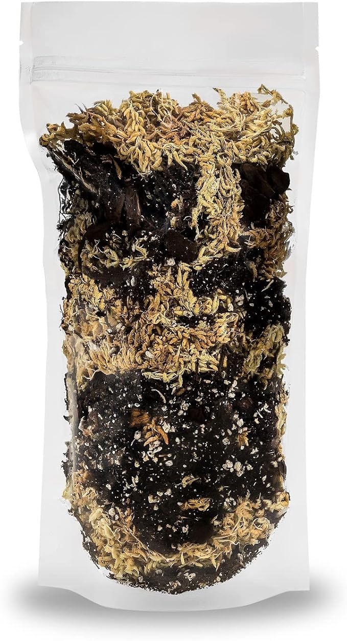Gardenera Premium Orchid Mix by GARDENERA | Fern + New Zealand Pine Bark + Sphagnum Moss + Perlite | Best for Growing and Repotting Orchids - 4 Quart Bag