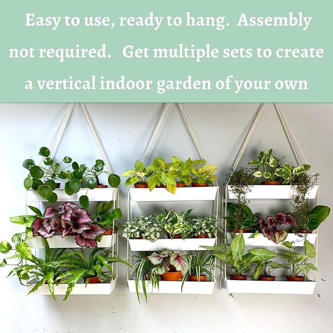 LaLaGreen Hanging Wall Planter