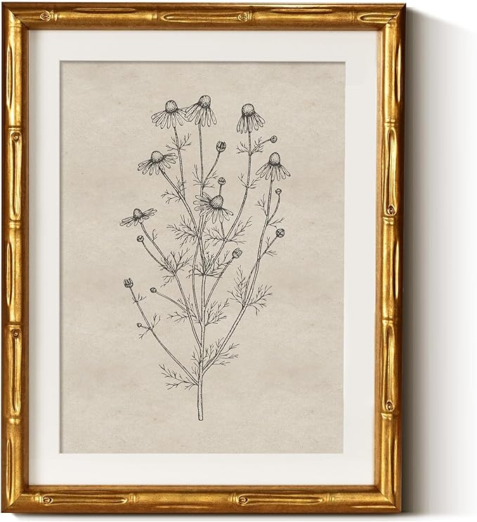 InSimSea Gold Bamboo Framed Canvas Wall Art, Minimalist Chamomile Botanical