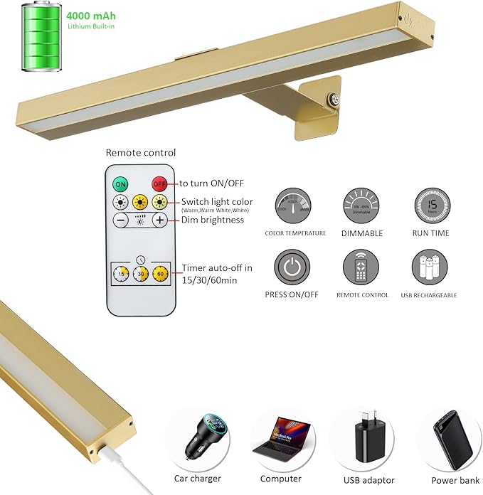 MIOBLUE Rechargeable Picture Lights
