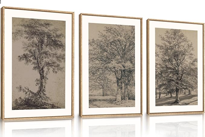 KAIRNE Vintage Tree Sketch Framed Canvas Wall Art Set, Antique Tree Drawings Wall Decor, Retro Forest Art Prints, Modern Nature Landscape Artwork for Living Room, Bedroom, Farmhouse, Office-24 x36 x3
