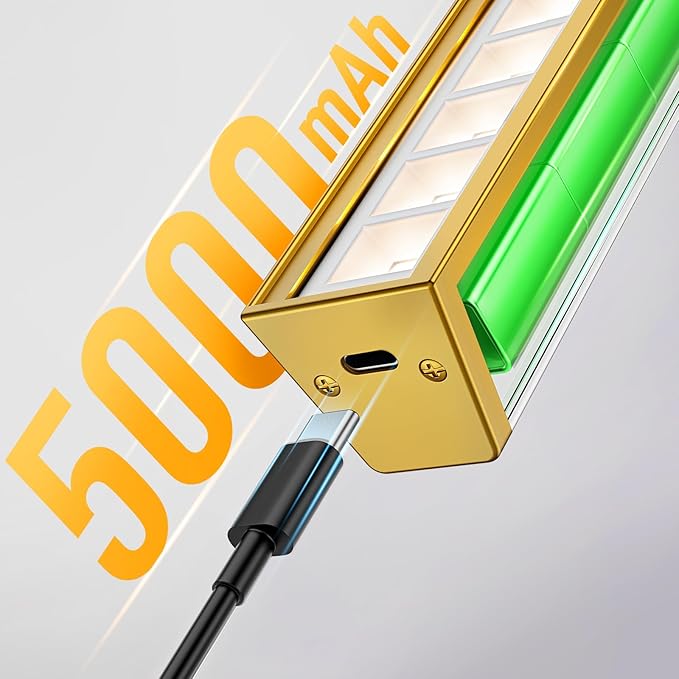 Afyuol Picture Lights for Wall, Battery Operated Picture Light 16in Art Light