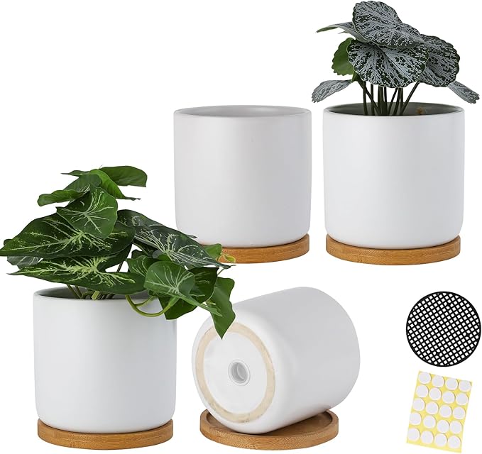 4 Inch Ceramic Plant Pots with Drainage Holes and Trays, Adorable Small Cylinder Flower Planter Pot with Saucers for Indoor Plants, Succulent, Snake Plants, Cactus & Herbs, White, Set of 4