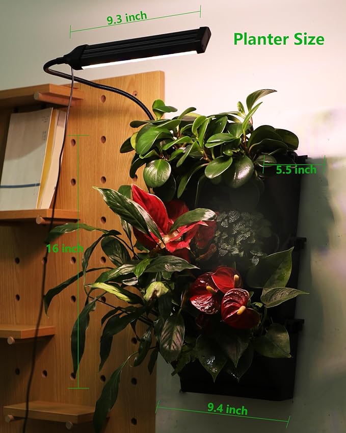 Wall Planters for Indoor Plants