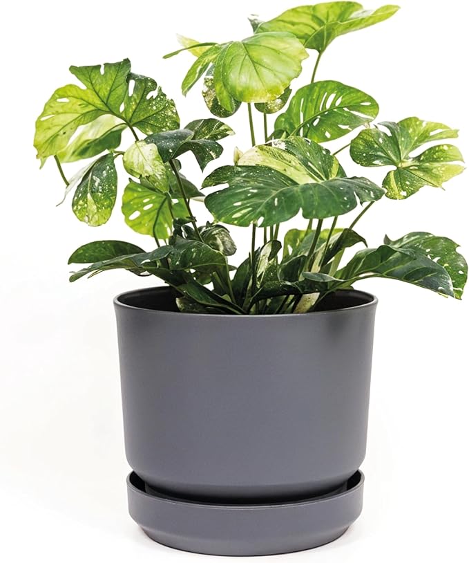 Elly DÃ©cor 12 inch Plastic Cylinder Planter Pot with Self-Watering Saucer and Drainage Hole,Lightweight & Extremely Durable, 12"x 12", Gray