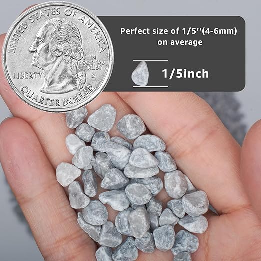 5lbs Natural Gravel Pebbles for Succulents and Cacti, 1/5 Inch Decorative River Stones – Perfect for Vases, Aquariums, Terrariums, and Outdoor Gardening, Mixed Colors (Grey, 5 Pounds)