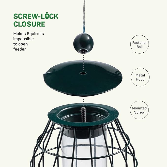 Squirrel Resistant Bird Feeders 22 oz. Bird Feeder with 4 Perches for Small Backyard Birds ONLY. Bird Feeder Squirrel Proof/Chew Proof/Rustproof. Fill with Wild Bird Seed for Outside Feeders