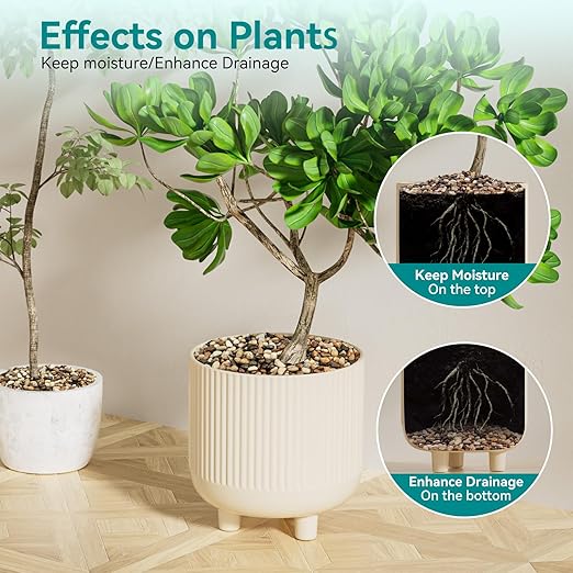 2.5 lbs Pebbles for Indoor Plants, Vase, Succulent, 3/8" Gravel for Plants, Pots Indoor, Bamboo Rocks for Bamboo Plants, Decorative Small River Rock, Highly Polished