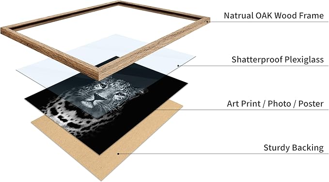 Poster Master Vintage Photograph Poster