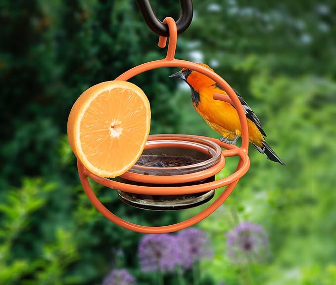 Monarch Abode Hanging Bird Feeder for Outdoors – Hanging Oriole Birdfeeder with Clear Glass Bowl and Orange Metal Perch & Prongs, Decorative Wild Bird Feeder for Outside Garden Patio Deck Yard