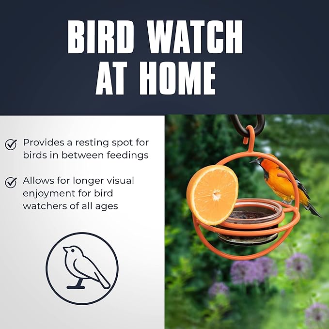 Monarch Abode Hanging Bird Feeder for Outdoors – Hanging Oriole Birdfeeder with Clear Glass Bowl and Orange Metal Perch & Prongs, Decorative Wild Bird Feeder for Outside Garden Patio Deck Yard