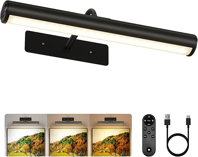 EZVALO 13-Inch Wireless Picture Light, 4000mAh Rechargeable Battery LED Art