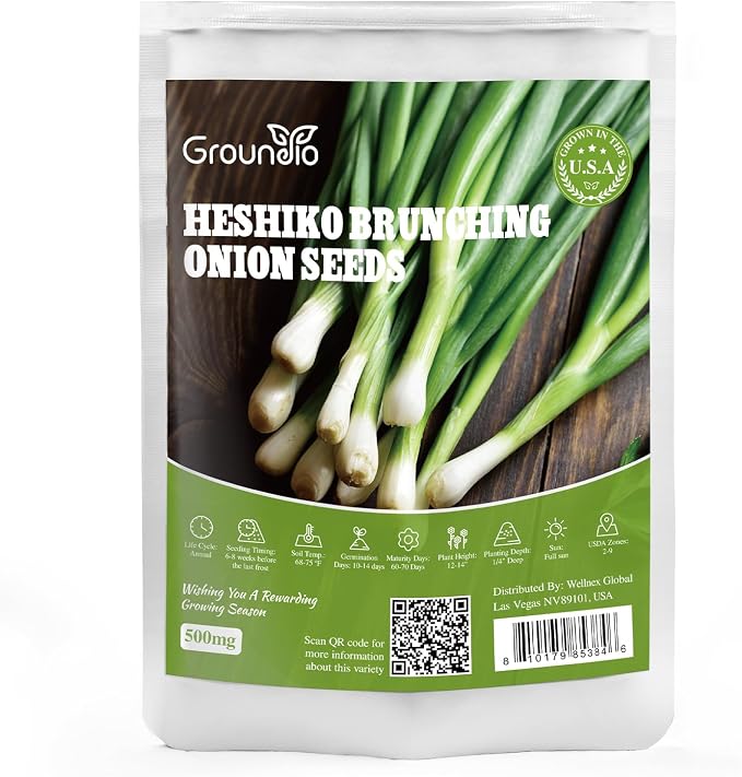 Groundio Heshiko Japanese Bunching Green Onion Seeds, Non-GMO Heirloom, Mild Flavor Scallions for Cooking, High Yield Kitchen Garden Indoors & Outdoors (Allium fistulosum)