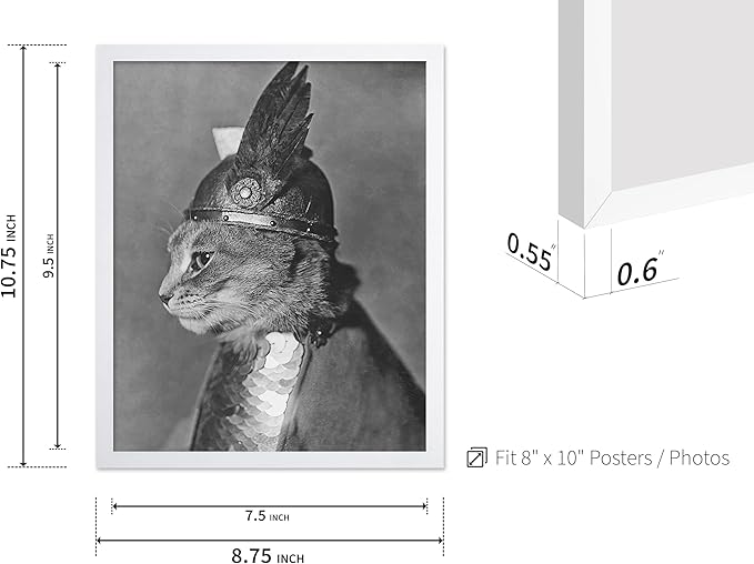 Poster Master Vintage Armored Cat