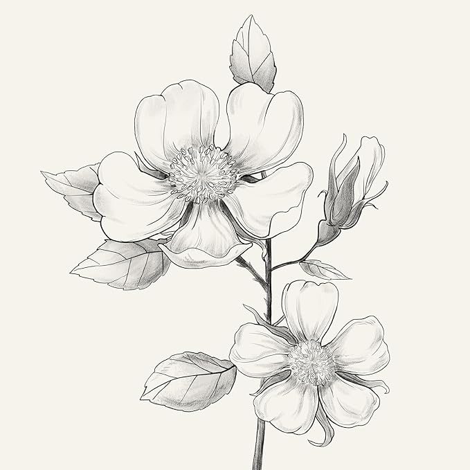 Framed Botanical Wall Art for Bathroom