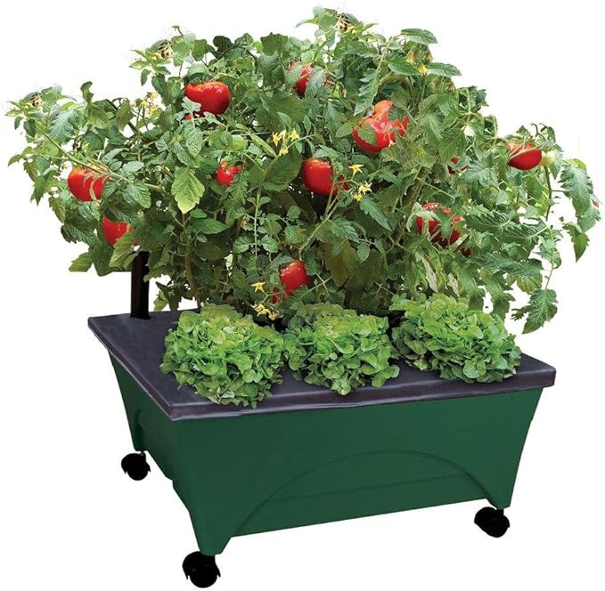 Emsco Group 2341-1HD City Picker Raised Bed Self Watering and Improved Aeration â Mobile Unit with Casters-Hunter Green Grow Box and Seed Starter
