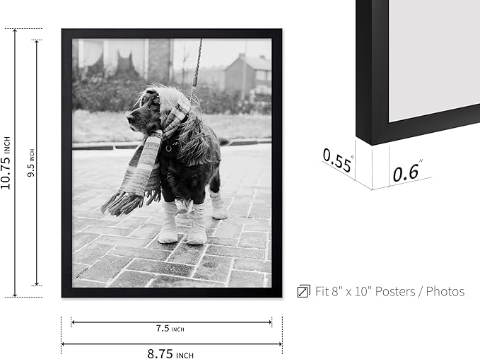 Poster Master Dog Dressed for Winter Print