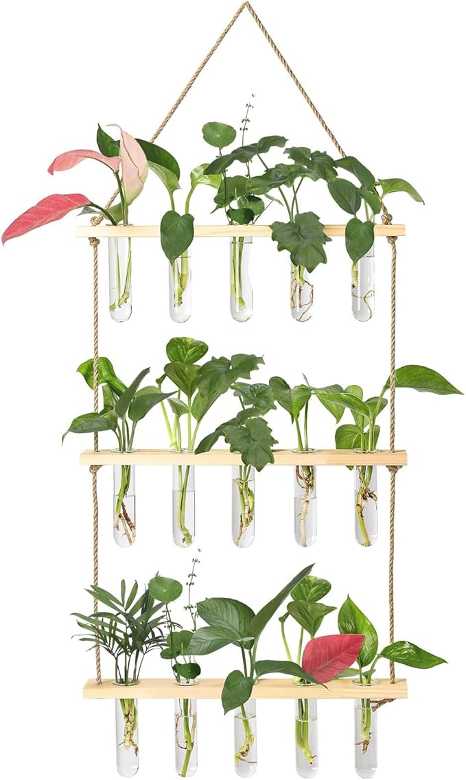 XXXFLOWER Wall Hanging Propagation Station