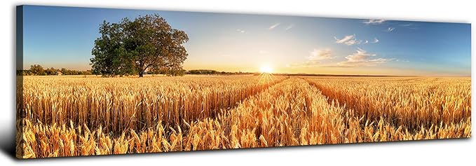 Sunset Forest Wall Art Nature Wheat Field Landscape Pictures Wall Decor