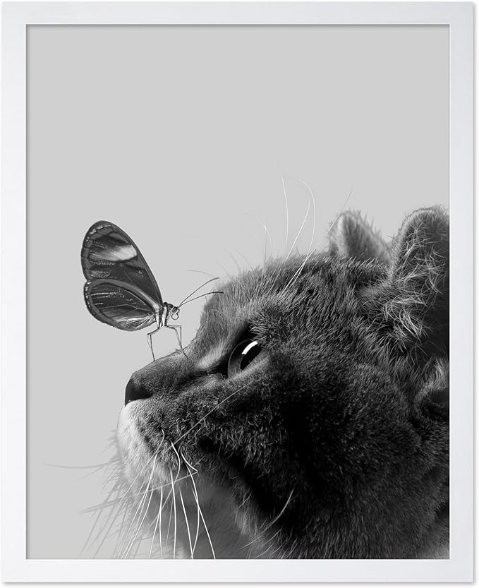 Poster Master Butterfly on Cat Print