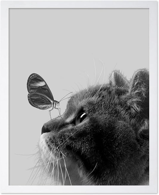 Poster Master Butterfly on Cat Print