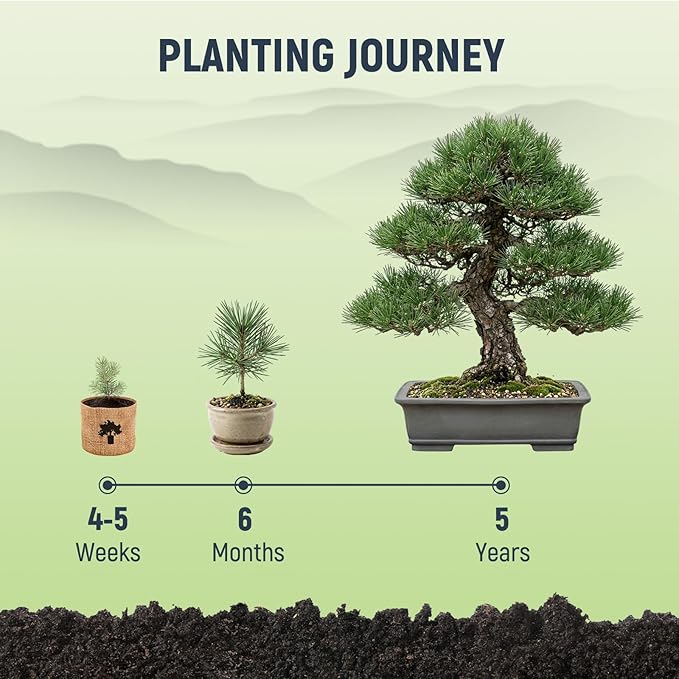 Bonsai Tree Kit - Complete Indoor Bonsai Starter Kit with 5 Unique Tree Seeds, Bonsai Tools - DIY Gardening Gift for Adults Women Men, Mom, Her, Friend (5 Bonsai Trees)