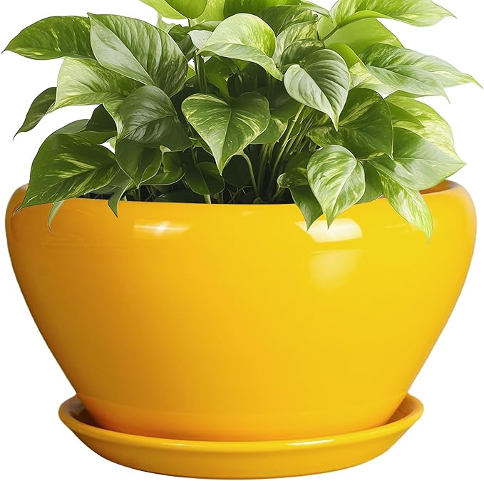 Ceramic Planter 9 Inch - Mid-Century Round Modern Plant Pot Indoor with Drainage Hole and Saucer for Outdoor Plants, Balcony House Garden Patio Home Decor, Yellow