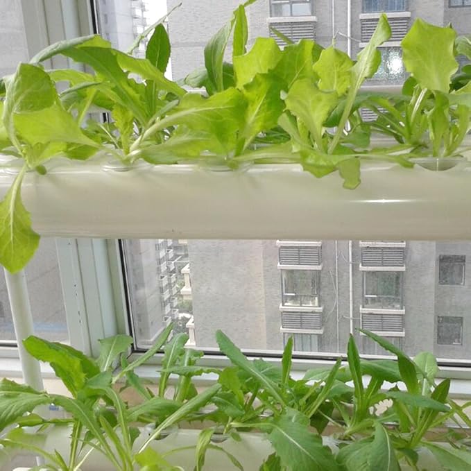 Hydroponics Growing System Kit,54 Plant Sites 2 Layers Food-Grade PVC-U Pipes Hydroponic Grow Kit Gardening System with Water Pump, Timer,Net Pots and Sponge for Vegetables,Fruits,Herb