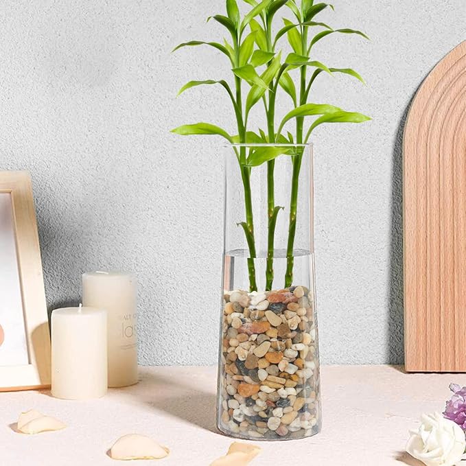 GASPRO 10 lb Decorative Pebbles for Plants, 3/8 Inch Mixed Color Rocks, Small Stones for Indoor Planters, Succulents & Vase Filler, Pea Gravel for Aquariums