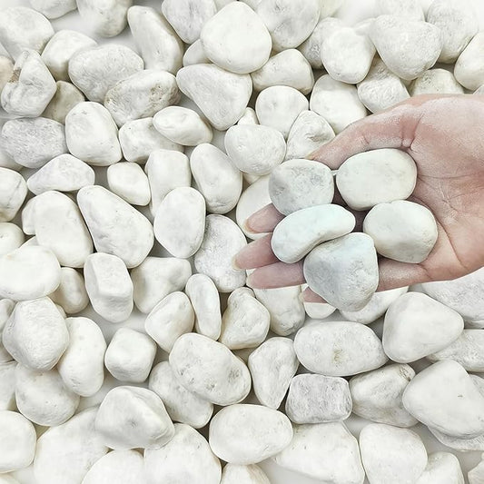 FANTIAN 20 lbs White Stones for Landscaping, 1-2 Inch Pebbles Decorative River Rocks for Plants Indoor, Vases, Aquariums Gravel, Crafting and Garden