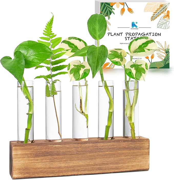 KAXYEW Plant Propagation Station, Plants Propagation Tubes, Gifts for Plant Lovers, Plants Cutting Holder Test Tube Vase Office Desk Garden DÃ©cor Gift for Her Mom Women Hydroponic Vase Gift Box