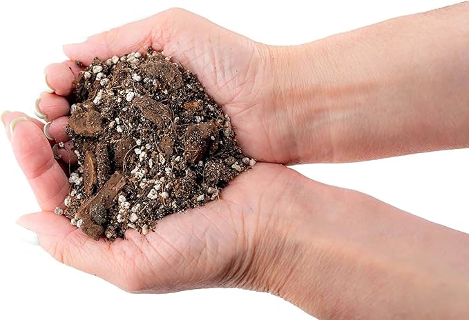 Gardenera Fiddle Leaf Fig House Plant Soil Premium All Purpose Blend - Peat Moss, New Zealand Bark, Coco Chips and Fibers, Perlite - 1 Quart Bag