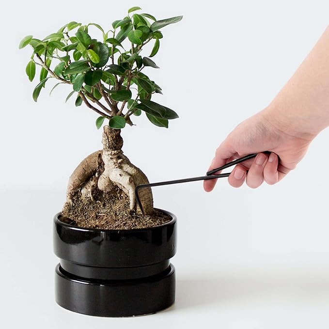 BambooMN Bonsai 2pc Set - 9" Root Pick and 9" Root Rake - 3 Sets
