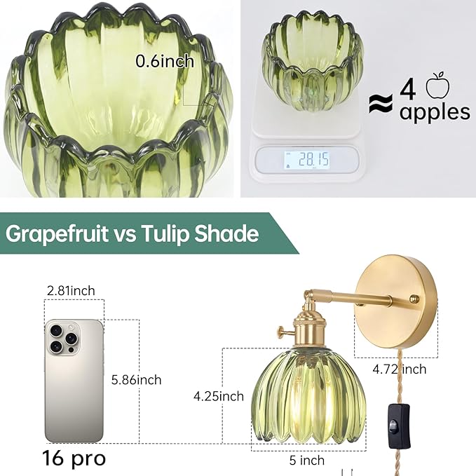 Shenmoyl Plug in Wall Sconce