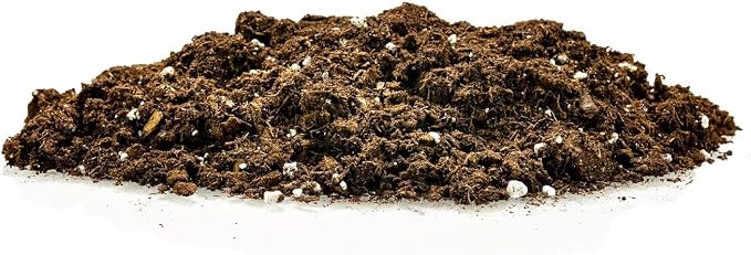 GARDENERA Money Tree Potting Soil - 10 Quart - Soil Mix for Planting or Repotting Guiana Chestnut, Blended Mix to Properly Grow Money Tree Plants (4 Bags of 5 Quart)