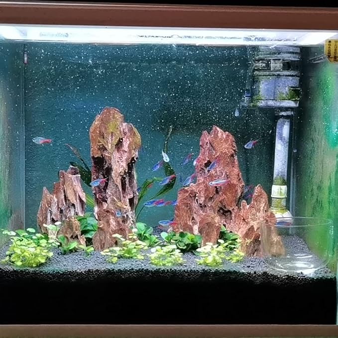 AWXZOM Natural Dragon Rock Carefully Selected Mixed Sizes, Decorative Aquarium Rocks, Aquarium Stones for Fish Tank (4.4lb)