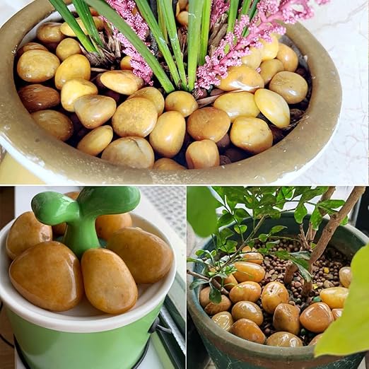 YISZM 40lbs Yellow River Rocks for Landscaping, 2-3 Inch Natural Pebbles for Indoor Plants, High Polished Decorative Stones Garden Outdoor and Indoor DIY Vase Filler Fish Tank Aquariums