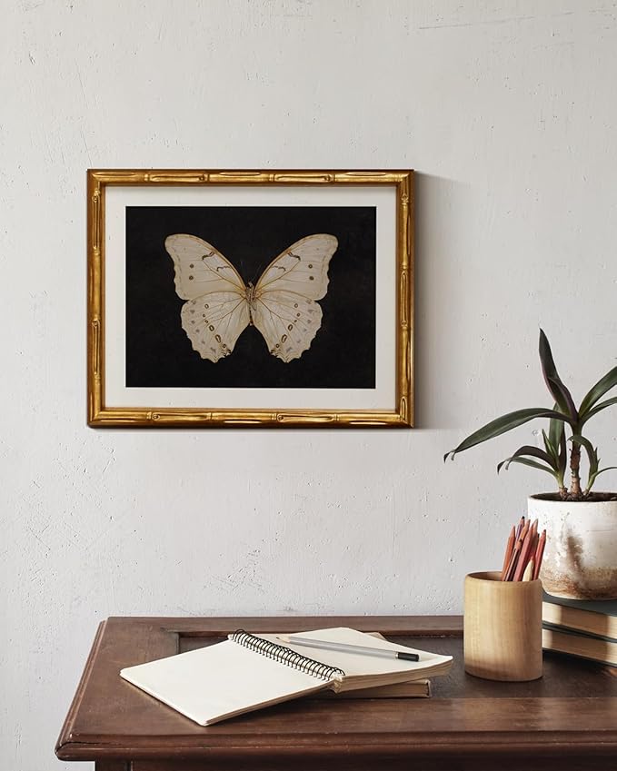 InSimSea Gold Bamboo Framed Canvas Wall Art, Retro White Butterfly Animal