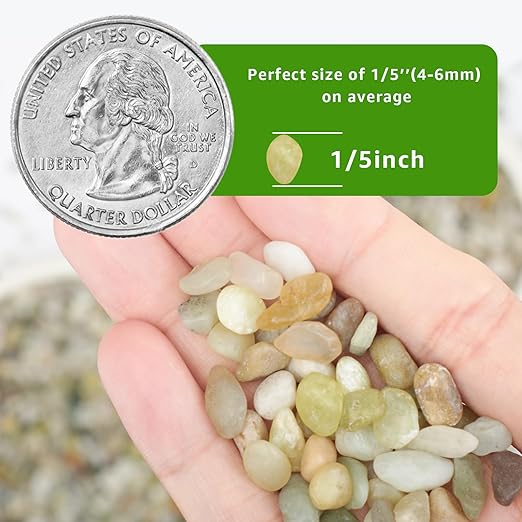 10lbs Natural Gravel Pebbles for Succulents and Cacti, 1/5 Inch Decorative River Stones – Perfect for Vases, Aquariums, Terrariums, and Outdoor Gardening, Mixed Colors (Jade, 10 Pounds)