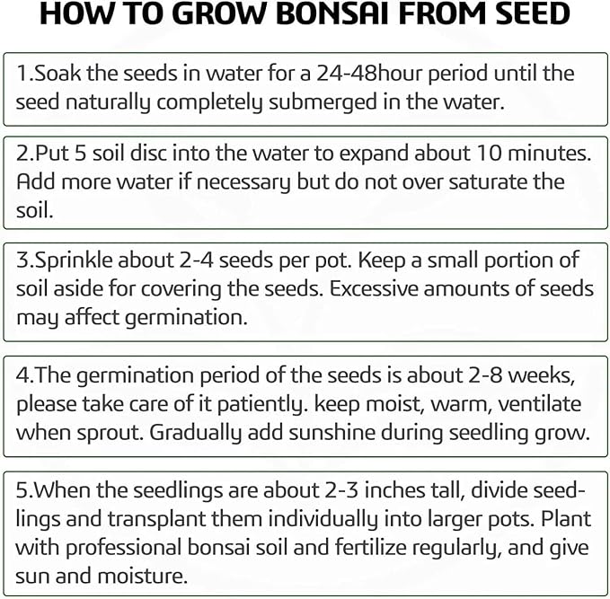 Bonsai Tree Starter Kit - Grow 5 Unique Indoor Japanese Bonsai Seeds, Complete Gardening DIY Set with Pots, Soil, Shears, Unique Gardening Gifts for Men Women