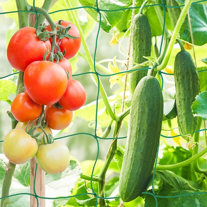 KINGLAKE GARDEN Trellis Netting for Climbing Plants 6 Ft x 12 Ft Green Garden Plant Netting Heavy-Duty Plastic Plant Trellis Netting for Tomato, Cucumber, Plants, Fruits, Flowers