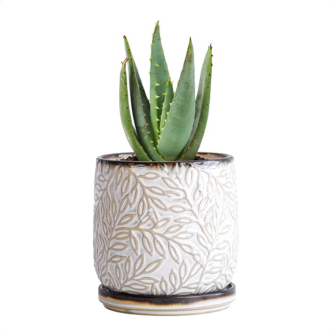 D'vine Dev 4 Inch Embossed Leaves Stoneware Planter Pot with Drainage Hole and Saucer, Smoked White, Set of 1, 27-A-Z-1