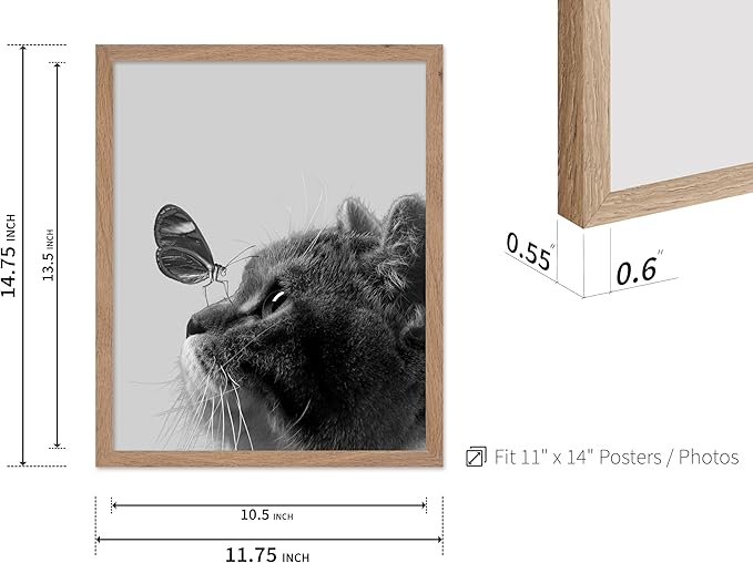 Poster Master Butterfly on Cat Print