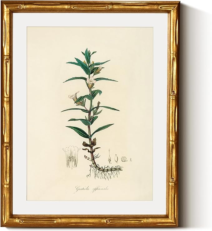 InSimSea Gold Bamboo Framed Canvas Wall Art, Vintage Kitchen Herbs Paintings