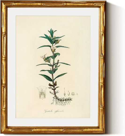 InSimSea Gold Bamboo Framed Canvas Wall Art, Vintage Kitchen Herbs Paintings