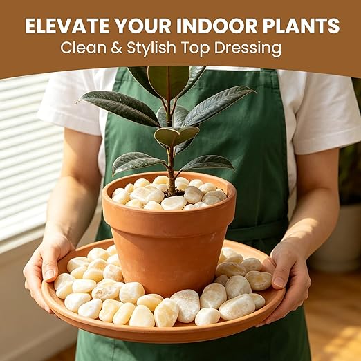 6 lbs Natural River Rocks, 1-2 inch Decorative Pebbles for Indoor Plants, Fish Tank, Vase Filler, Aquarium, and Outdoor Garden Landscaping Rocks