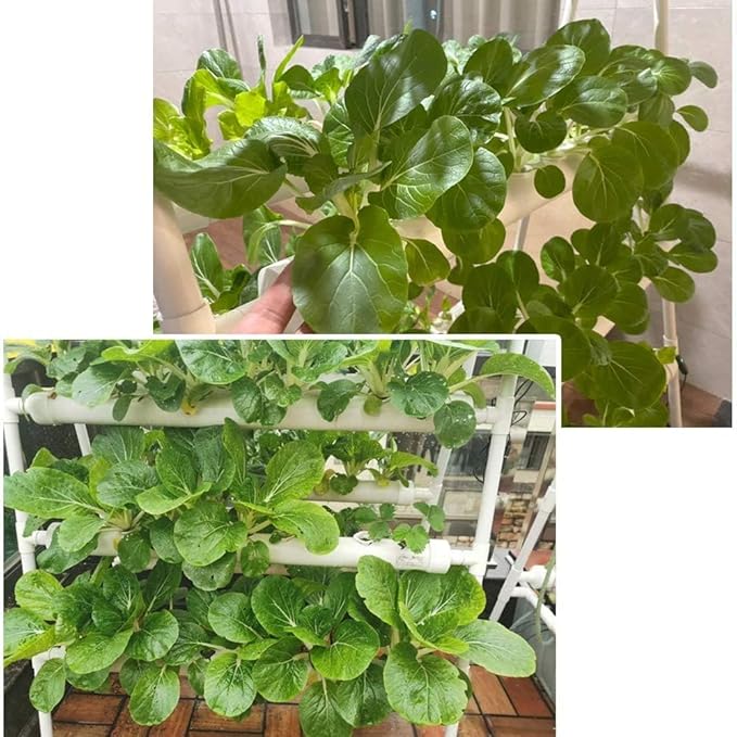 Hydroponics Growing System Kit 36 Plant Sites Food-Grade PVC-U Pipes Hydroponic Grow Kit Gardening System for Vegetables,Fruits,Herb