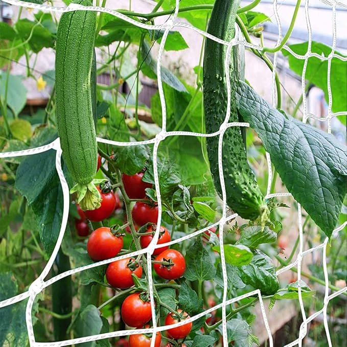 ðð«ðð¥ð¥ð¢ð¬ ððð­ð­ð¢ð§ð , CANAGROW Heavy-Duty Garden Plant Trellis Netting for Climbing Plants, Outdoor Indoor Grow Net for Beans Tomatoes Peas Pumpkin Flowers, ð ð± ðððð­, Pack of 2